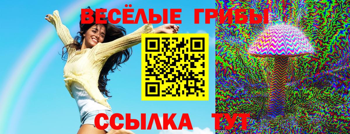 Псилоцибиновые грибы Cubensis  Вход с VPN  Котельники  сколько стоит  Галлюциногенные грибы мухоморы 
